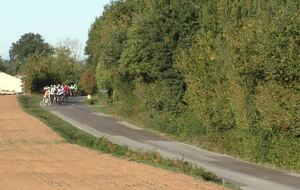 TCV 2026 dimanche entre St Armel et Amanlis